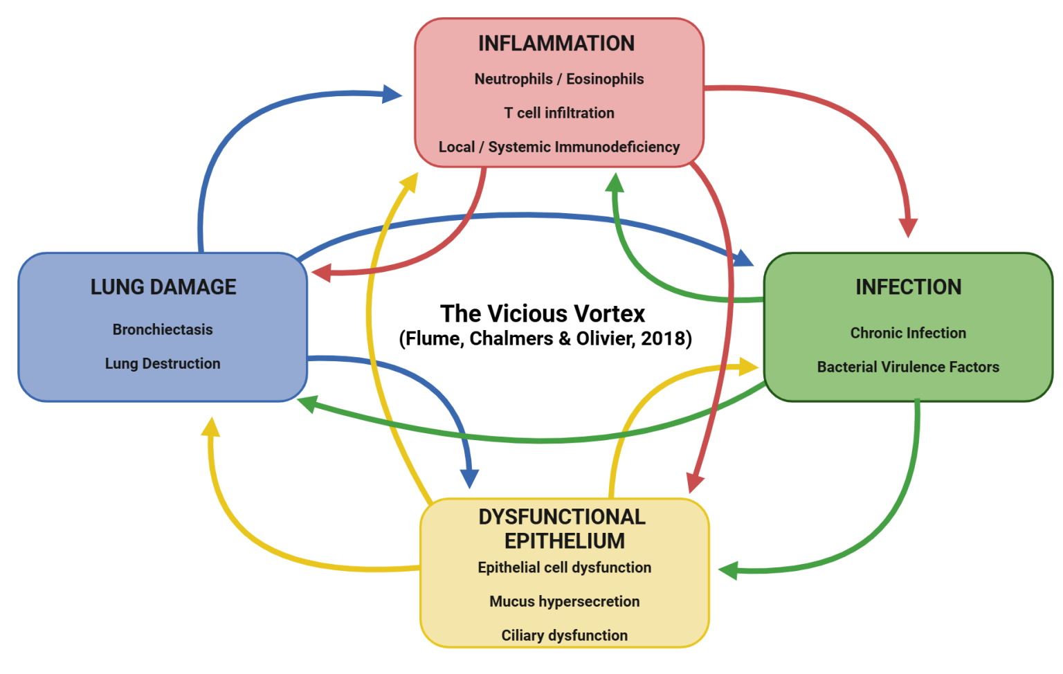education-copy-embarc